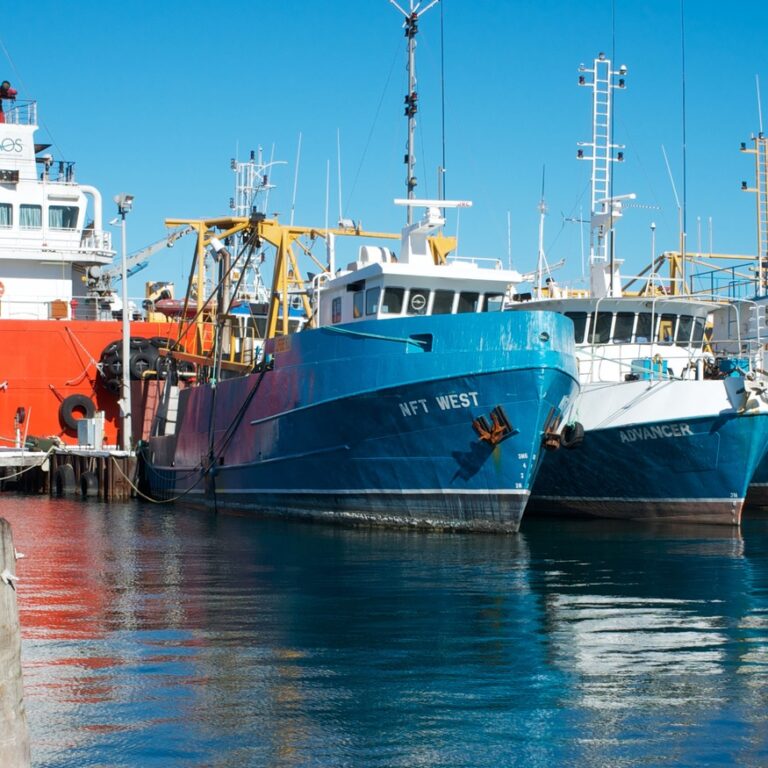 NFT West and Advancer vessels in Fremantle fishing boat harbour